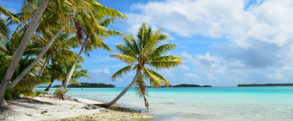 Tropical palm beach - Aventura, FL Title Company | Market ...