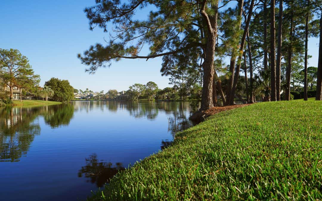 Refinancing in Orlando: 5 Things To Consider Before Making a Move